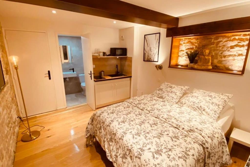 Studio Renove Avec Patio, Coeur Du Centre Ville Besanzón Exterior foto